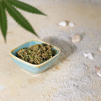 Bio CBD Hanf Dattelbär eigene Herstellung