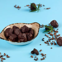 Bio CBDatteln mit Zotter-Kakao gesunder Snack