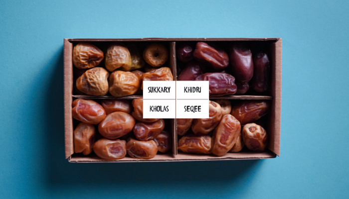 BIO Dattel Selektion