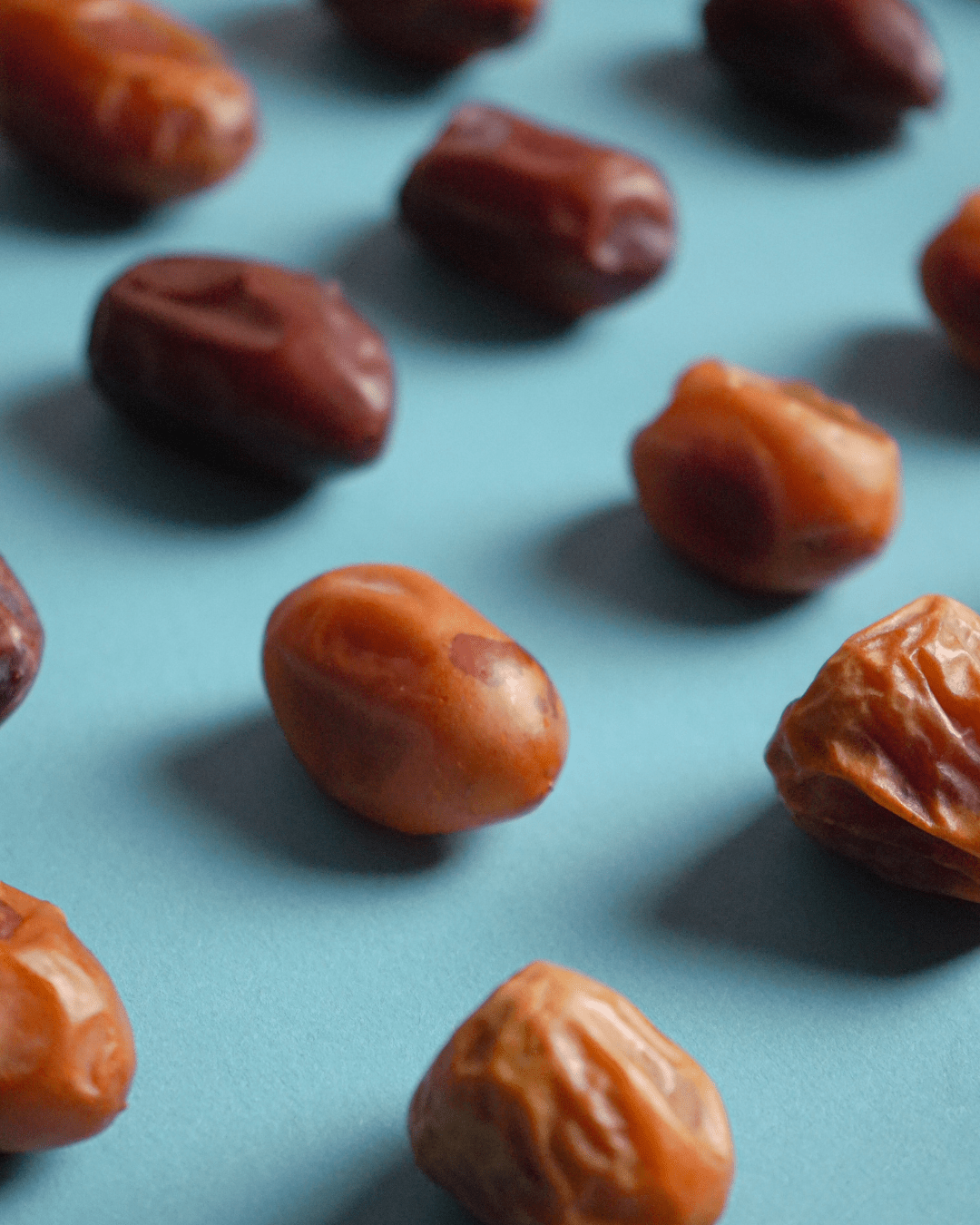 Dattel Selektion BIO Premium Large – Sukkari, Kholas, Khidri & Seqee - DATTELBAER