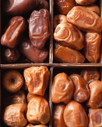 Dattel Selektion BIO Premium Large – Sukkari, Kholas, Khidri & Seqee - DATTELBAER