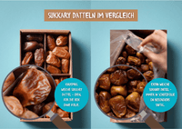 Dattel Selektion BIO Premium Large – Sukkari, Kholas, Khidri & Seqee - DATTELBAER