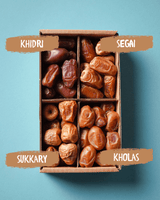 Dattel Selektion BIO Premium Large – Sukkari, Kholas, Khidri & Seqee - DATTELBAER