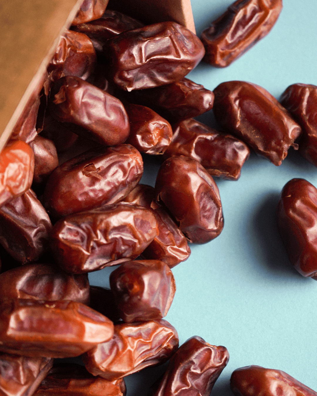 Khidri Datteln BIO Premium Large – bissfest & malzig - süß - DATTELBAER