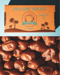 Kholas Datteln BIO Premium Large – weich & karamellig - DATTELBAER