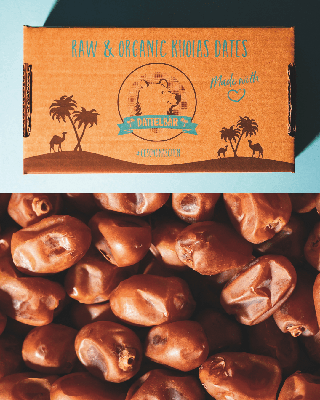 Kholas Datteln BIO Premium Large – weich & karamellig - DATTELBAER