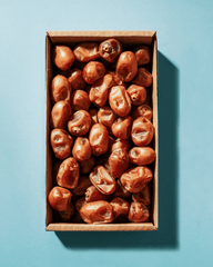 Kholas Datteln BIO Premium Large – weich & karamellig - DATTELBAER