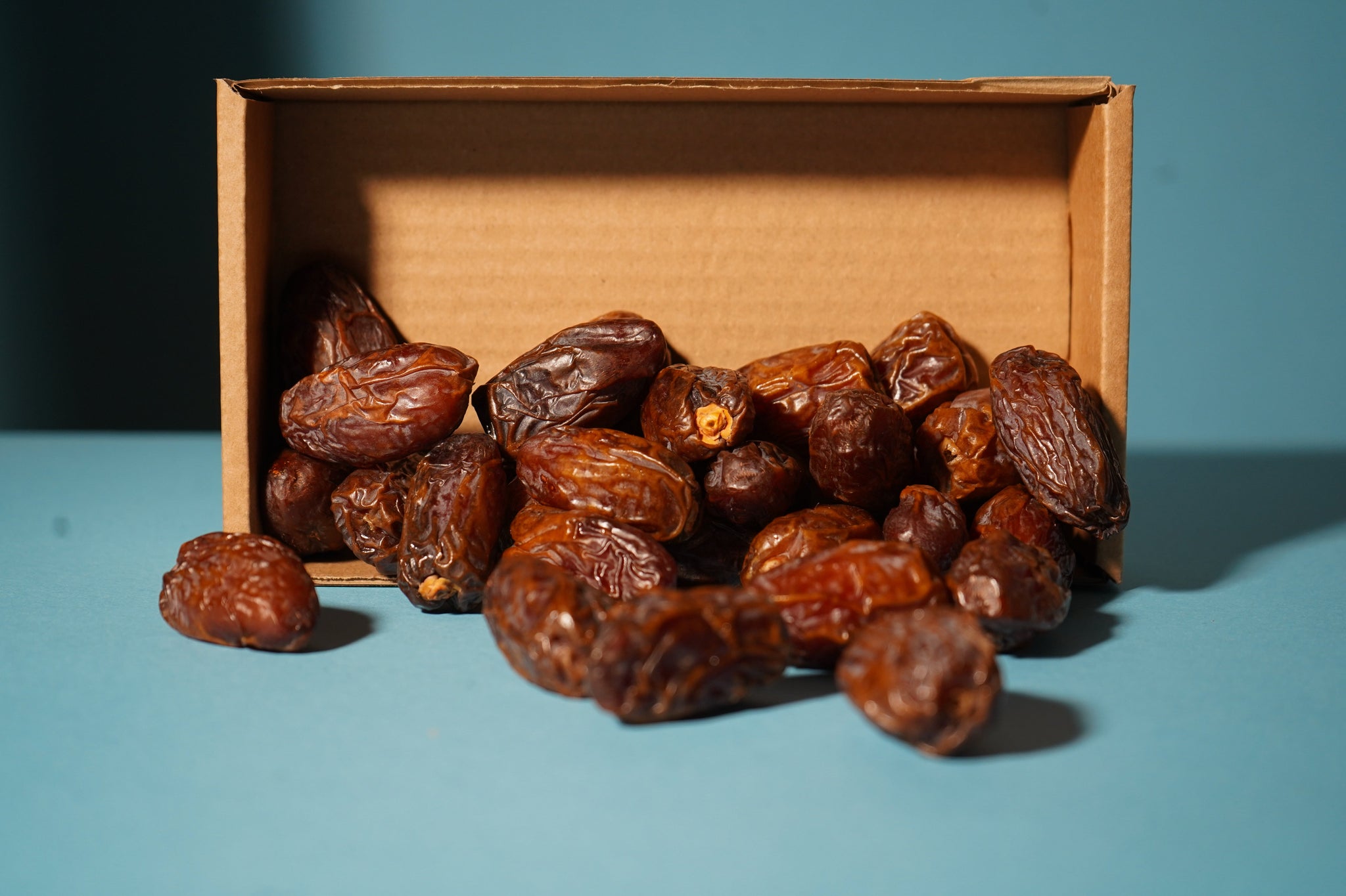 Medjool Datteln BIO Jumbo – weich & extra groß - DATTELBAER