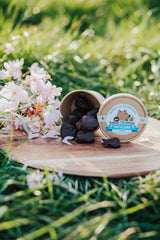 Schokolade CBD Dattel - Konfekt BIO - DATTELBAER