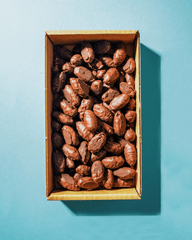 Schokolade Datteln BIO – Kholas Datteln mit 100% Kakao - DATTELBAER