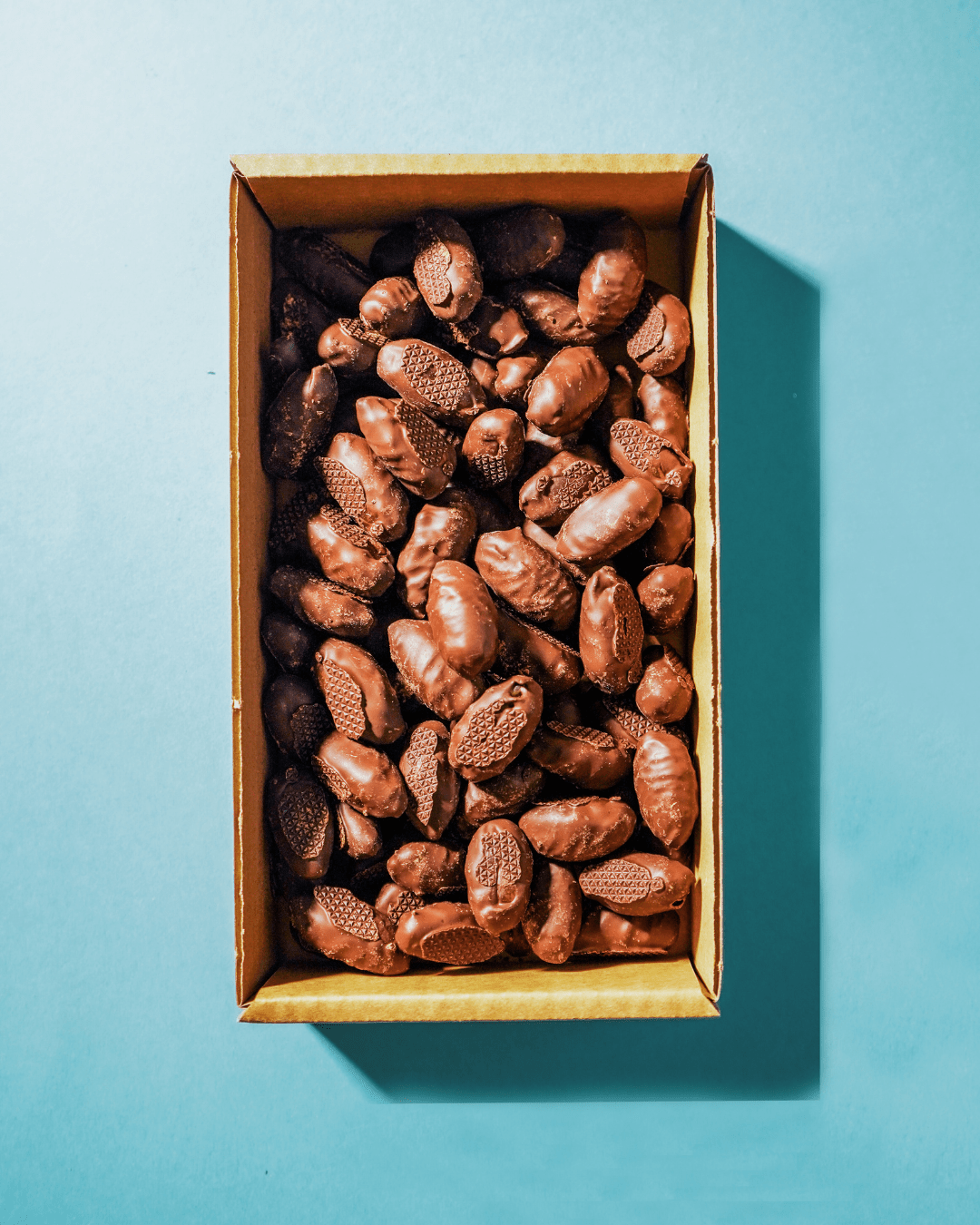 Schokolade Datteln BIO – Kholas Datteln mit 100% Kakao - DATTELBAER