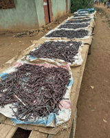 Vanille Dattelzucker - DATTELBAER