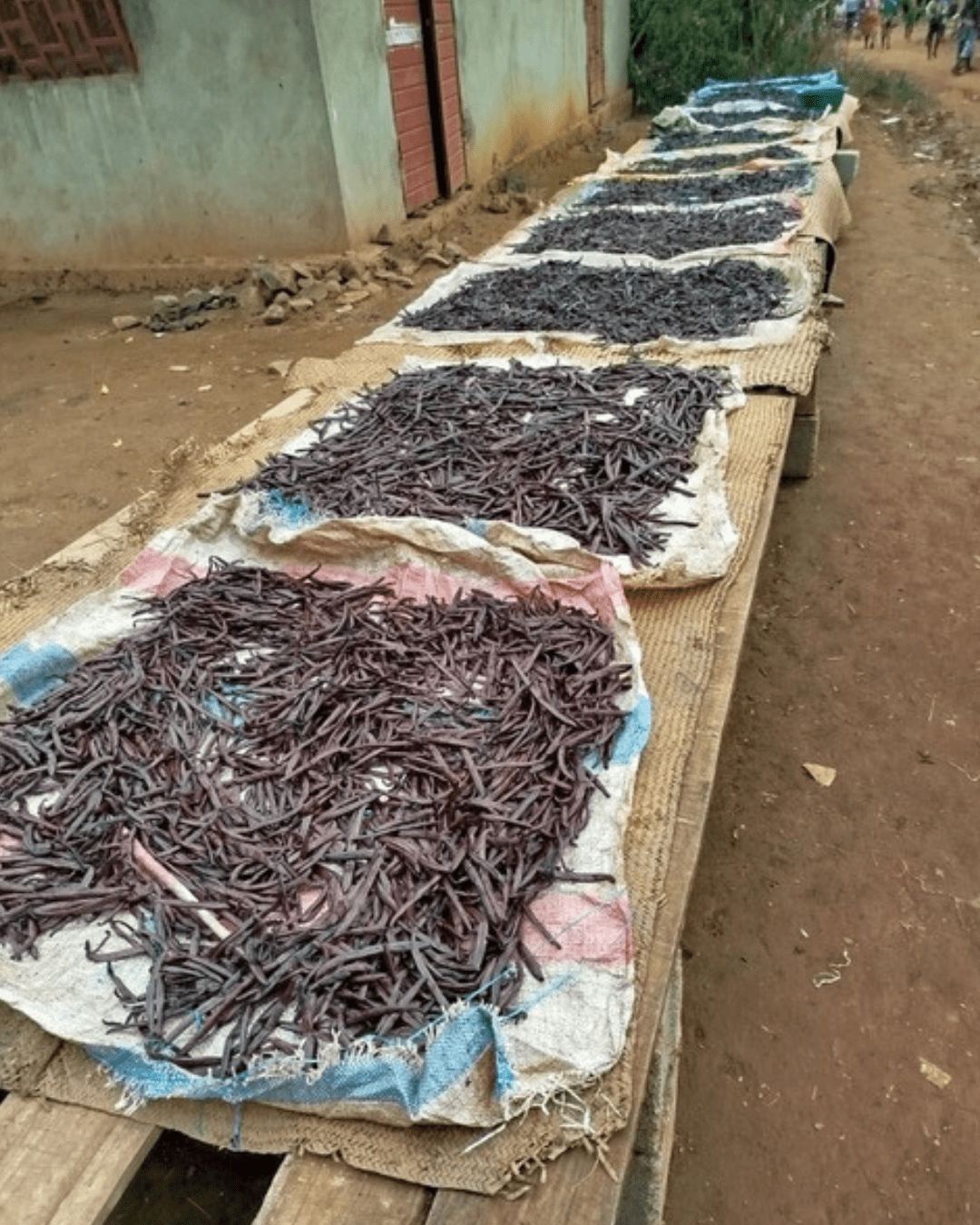 Vanille Dattelzucker - DATTELBAER