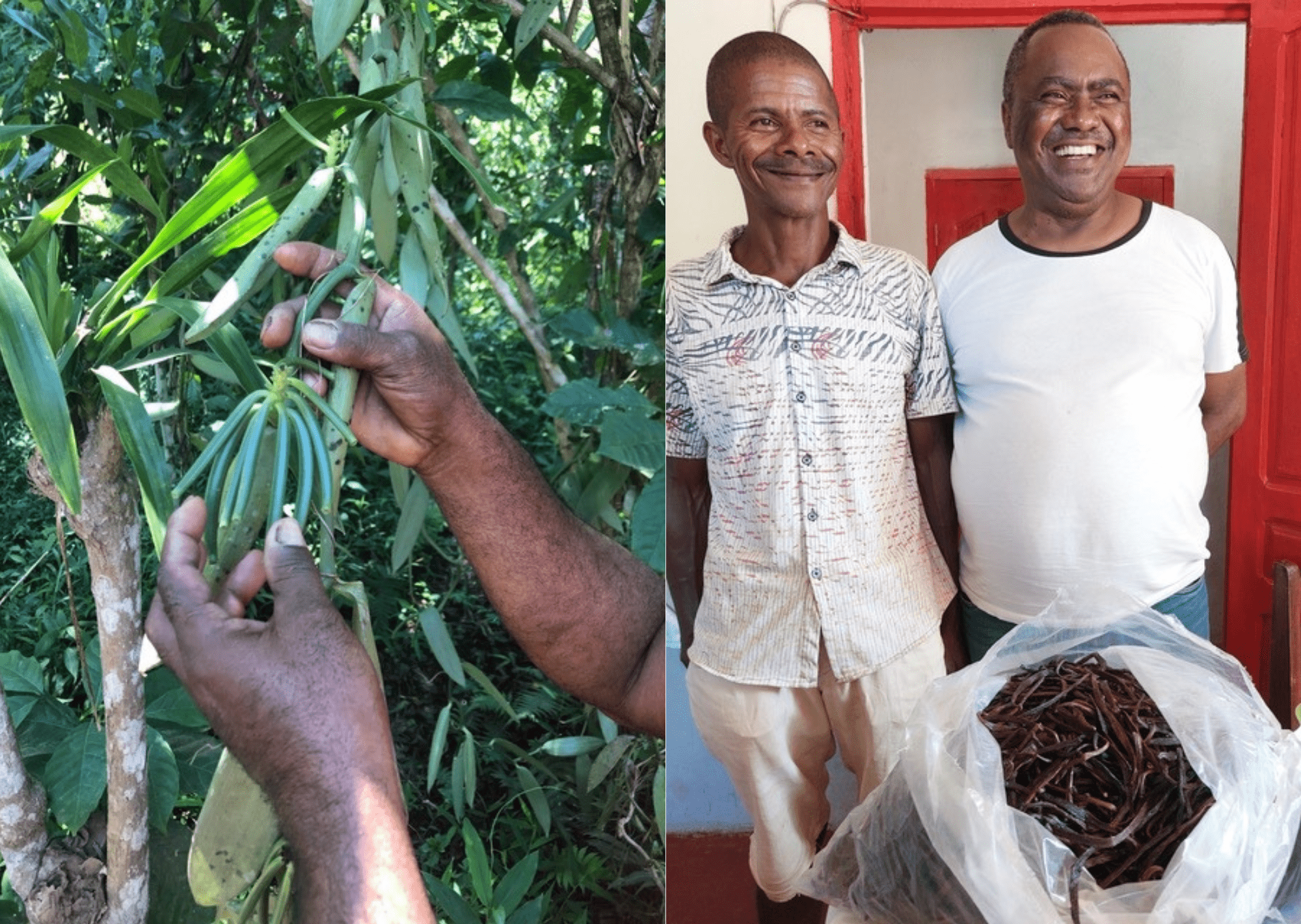 Vanille Dattelzucker - DATTELBAER